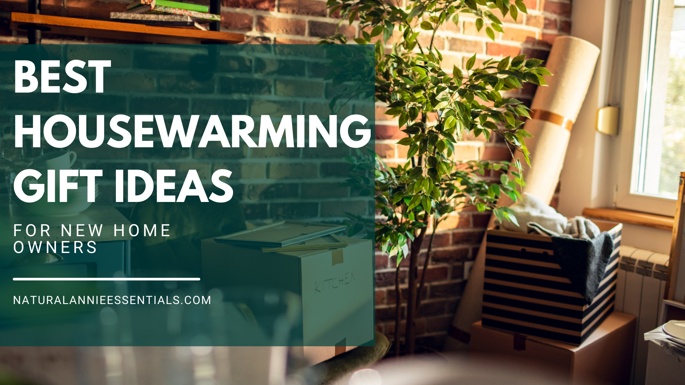 Best Housewarming Gift Ideas For New Home Owners