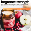 CRANBERRY APPLE 9 oz Scented Soy Candle