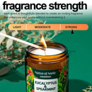 EUCALYPTUS & SPEARMINT Scented Soy Candle