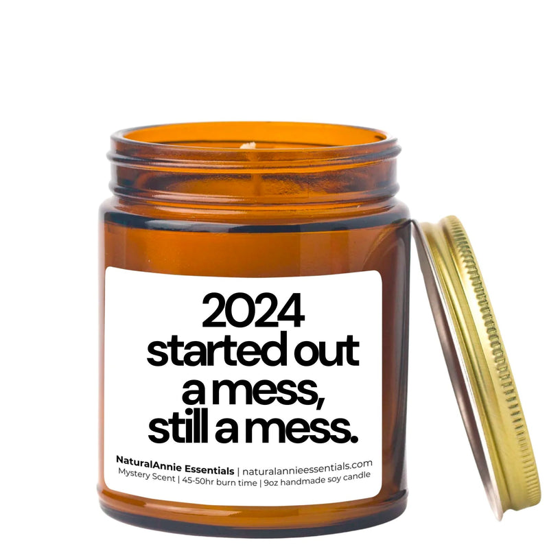 MESS in a bottle 2024 started out  a mess,  still a mess. |9 oz Scented Soy Candle