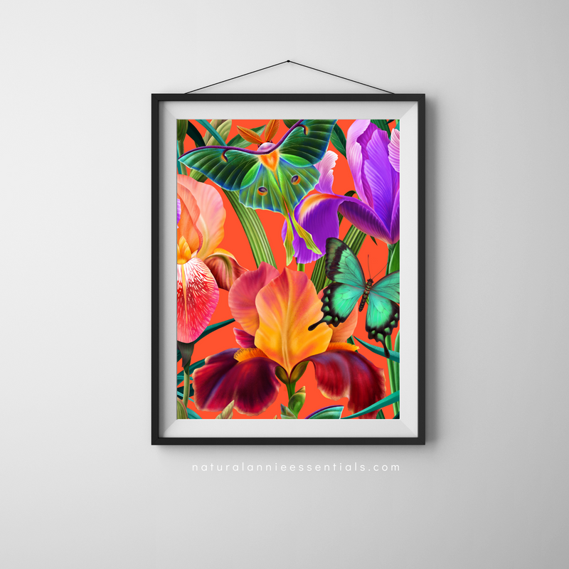 Bold Colorful Tropical Butterfly wall art