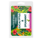 EUCALYPTUS & SPEARMINT Scented Soy Wax Melts
